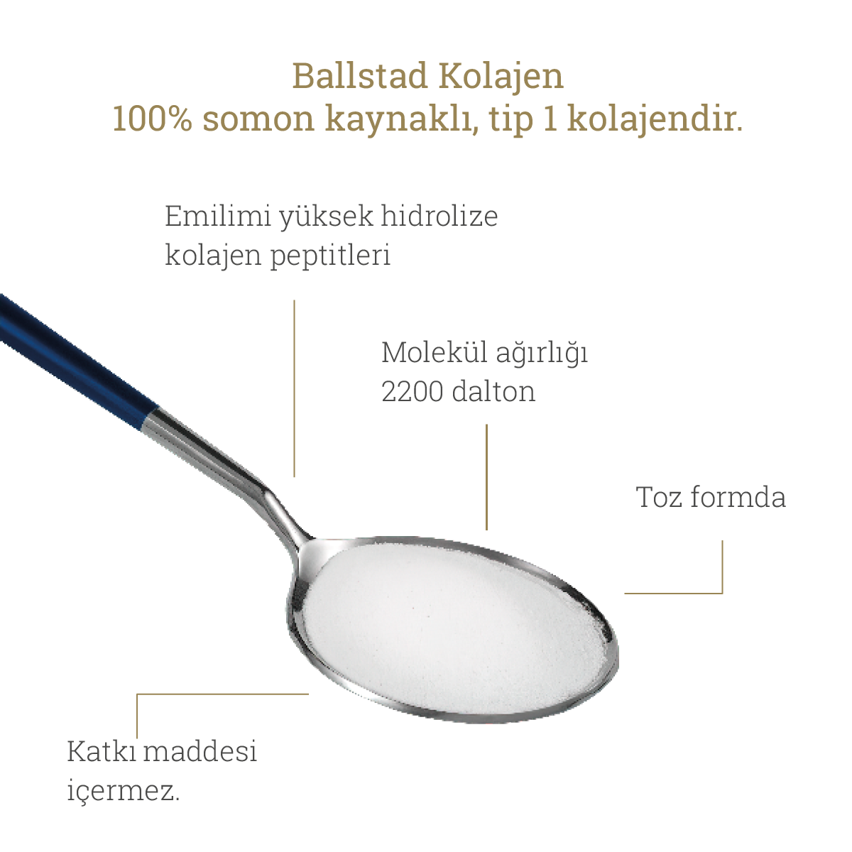 Ballstad Kolajen: %100 somon kaynaklı, tip 1 kolajen; katkı maddesi içermeyen, emilimi yüksek hidrolize kolajen peptitleri, 2200 dalton molekül ağırlığında ve toz formda.