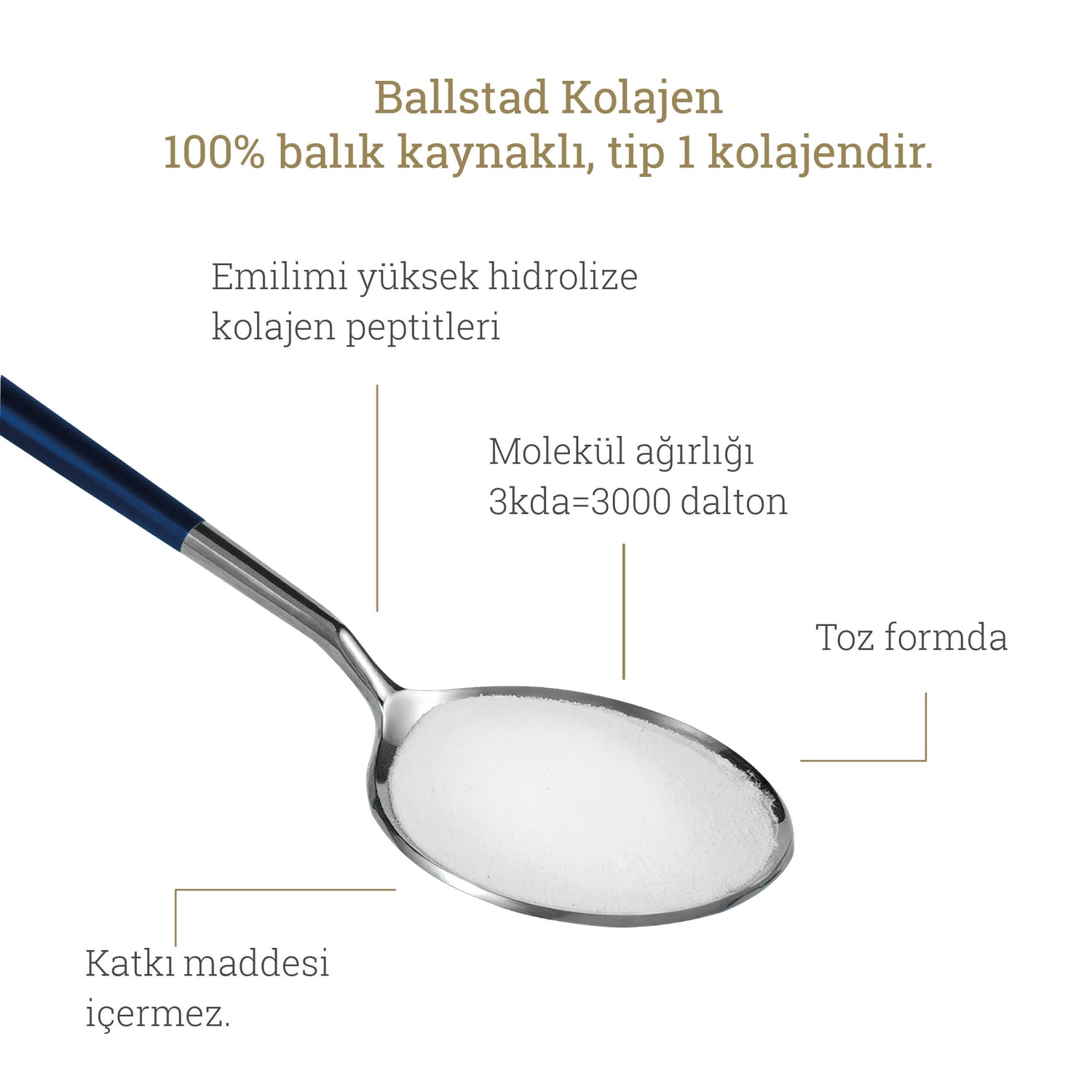 Ballstad Balık Kolajen