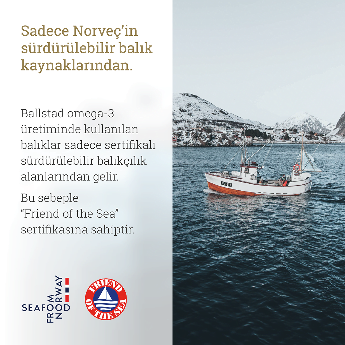 Abonelik: Ballstad Omega-3