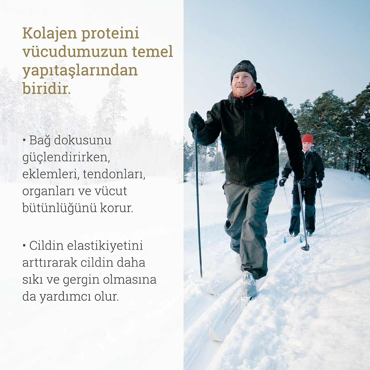 Ballstad Somon Kolajen - Aylık Ambalajda
