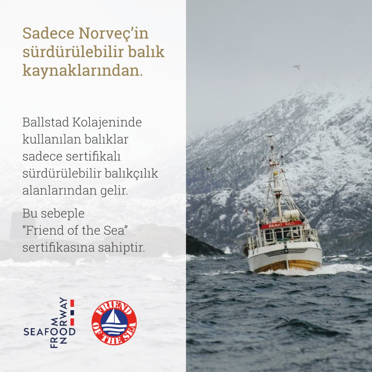 Ballstad Somon Kolajen - Aylık Ambalajda