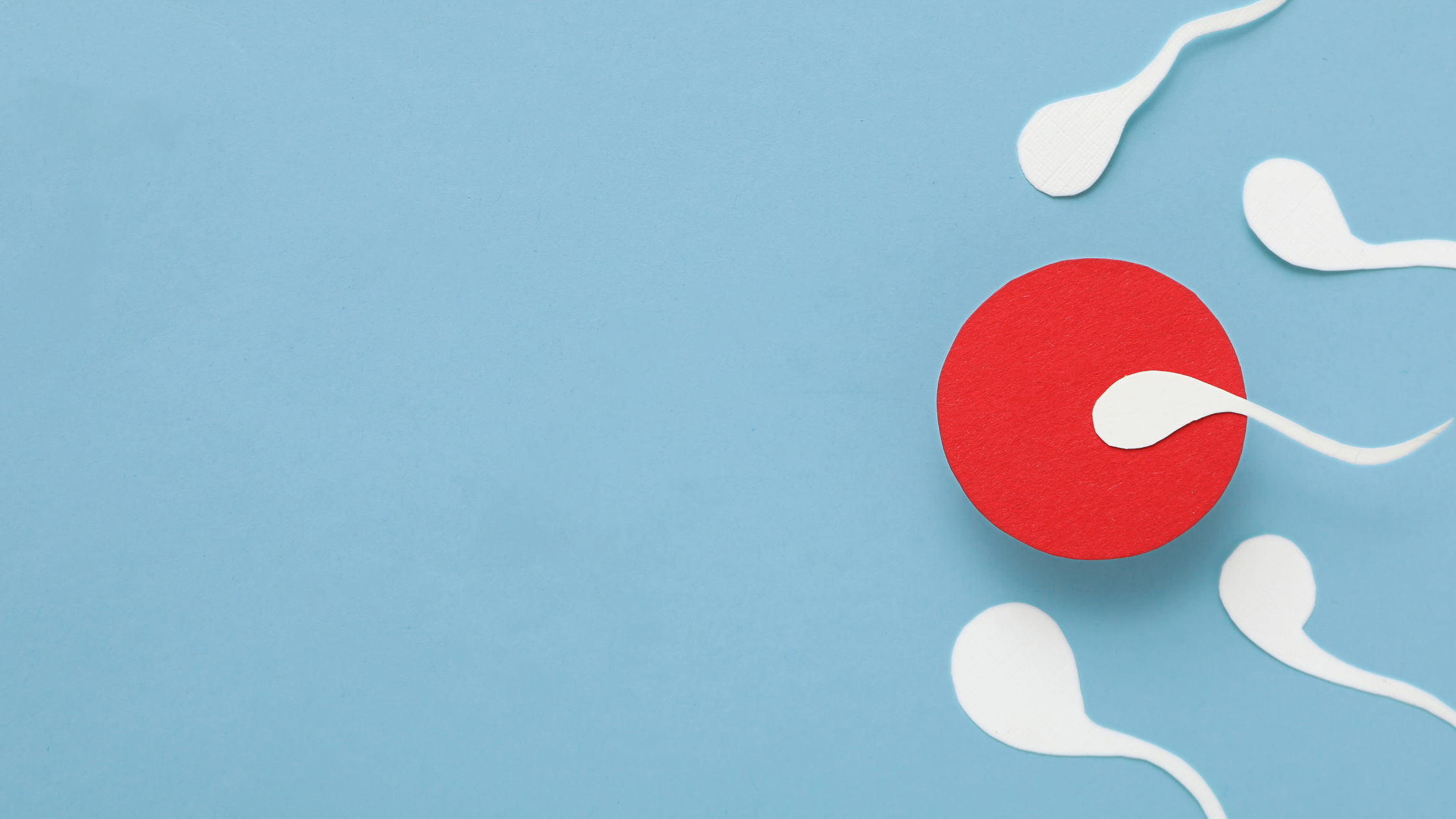 Sperm Sağlığı ve Beslenme: Omega-3 Neden Önemli?