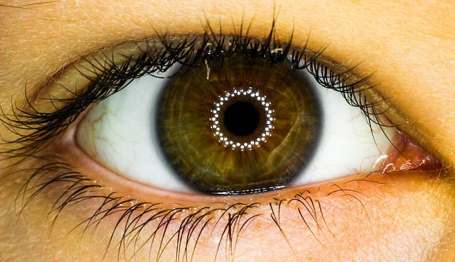 Bütün gün ekrana mı bakıyorsunuz? Omega-3'ler kuru gözlere yardımcı olabilir!